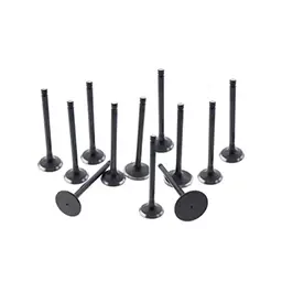 Shop Intake & Exhaust Valve